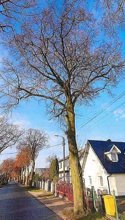 Zrzut ekranu 2025-11-24 134034.png