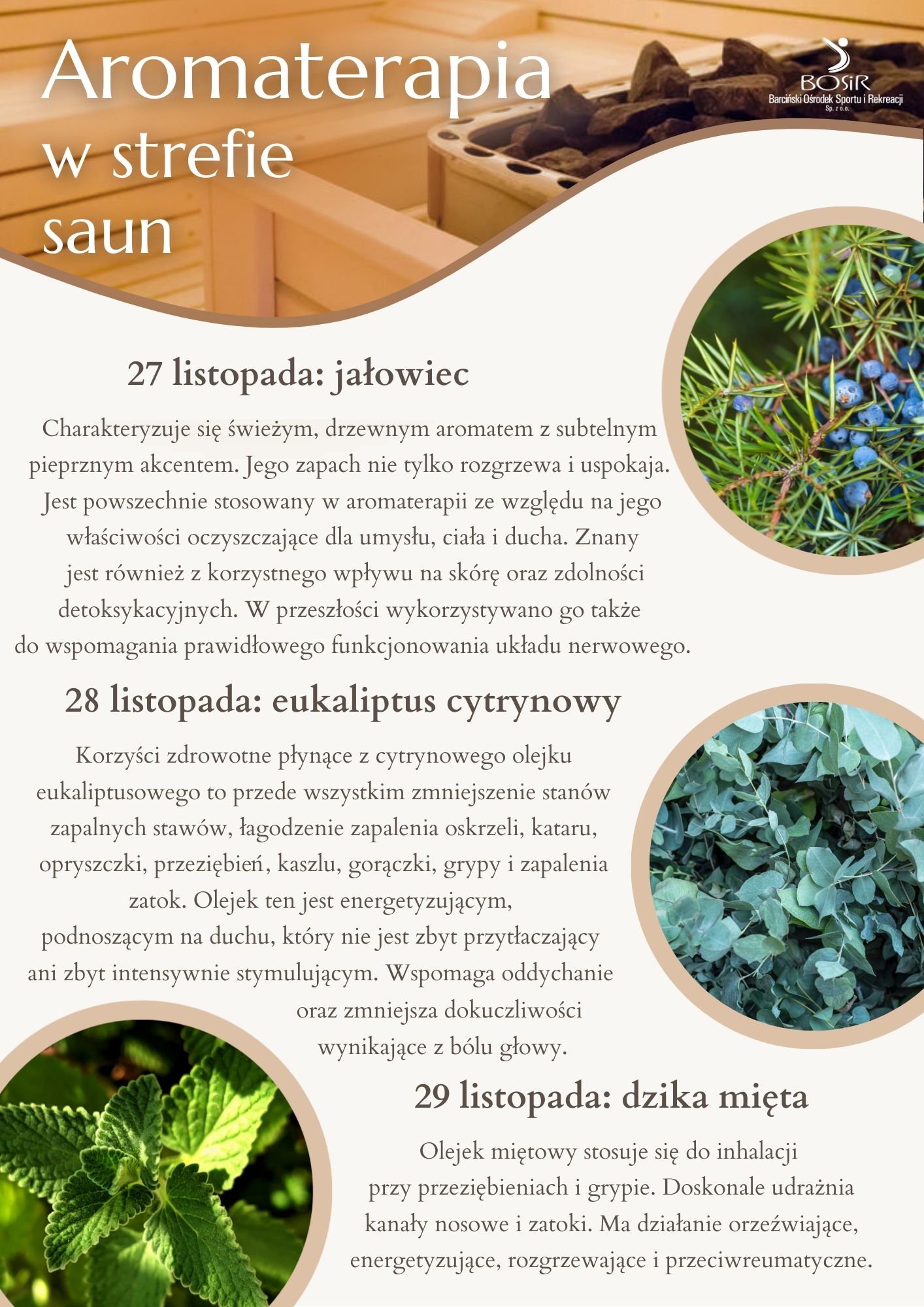 Aromaterapia 3-5 stycznia (3).jpg