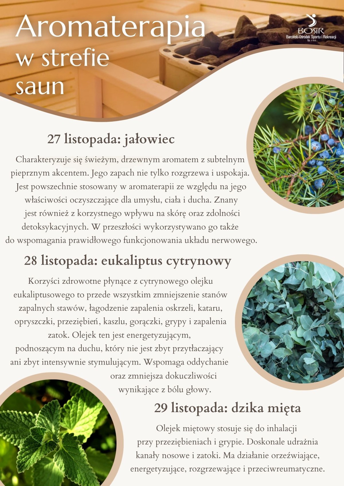 Aromaterapia 3-5 stycznia (3).jpg