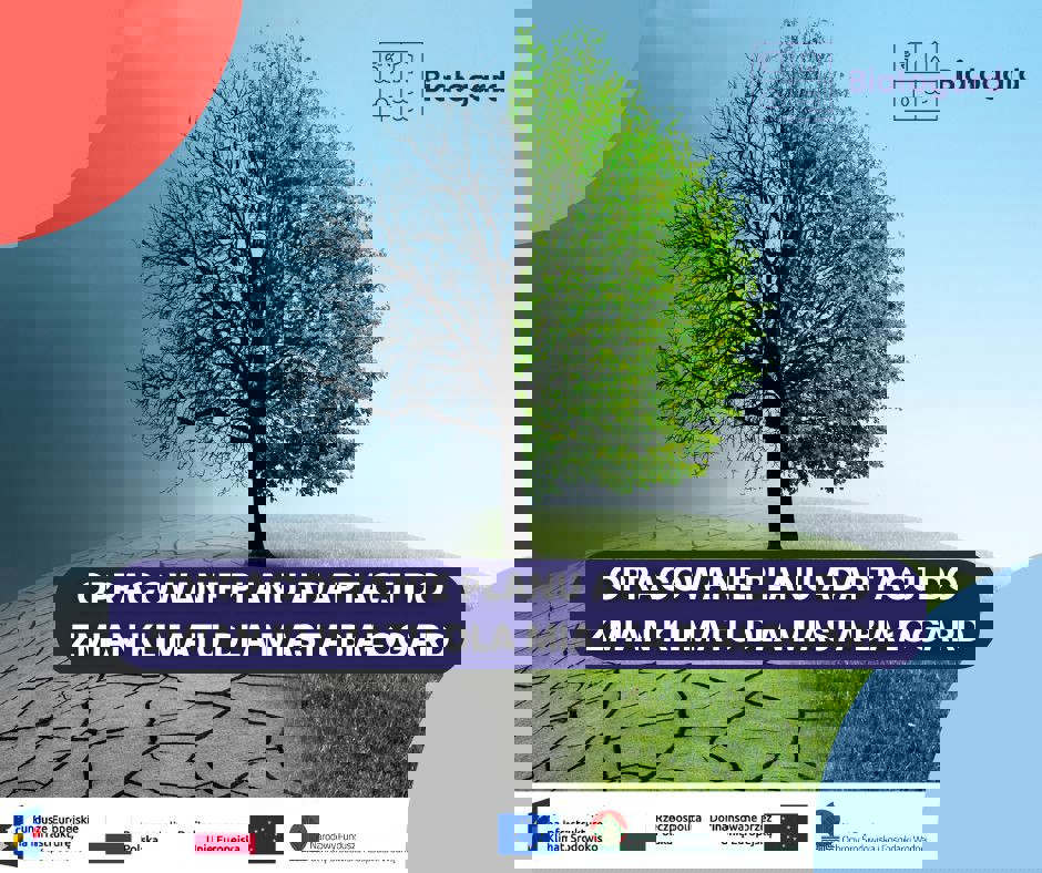 488574093_1104777938354177_6797629863311336725_n.jpg