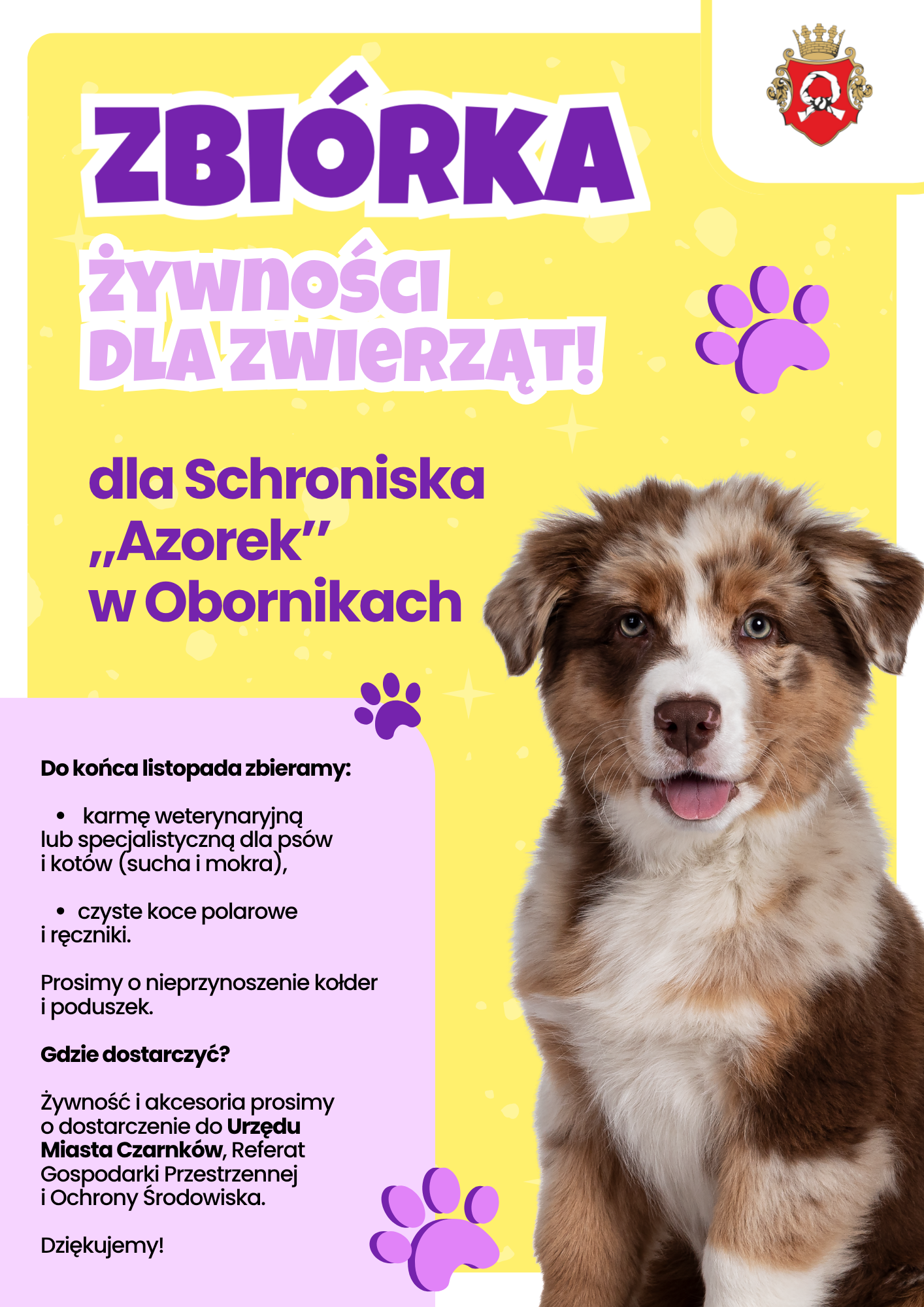 Żółty Radosny Zbiórka Żywności dla Zwierząt Ulotka (Plakat (A3, w pionie)) (4).png