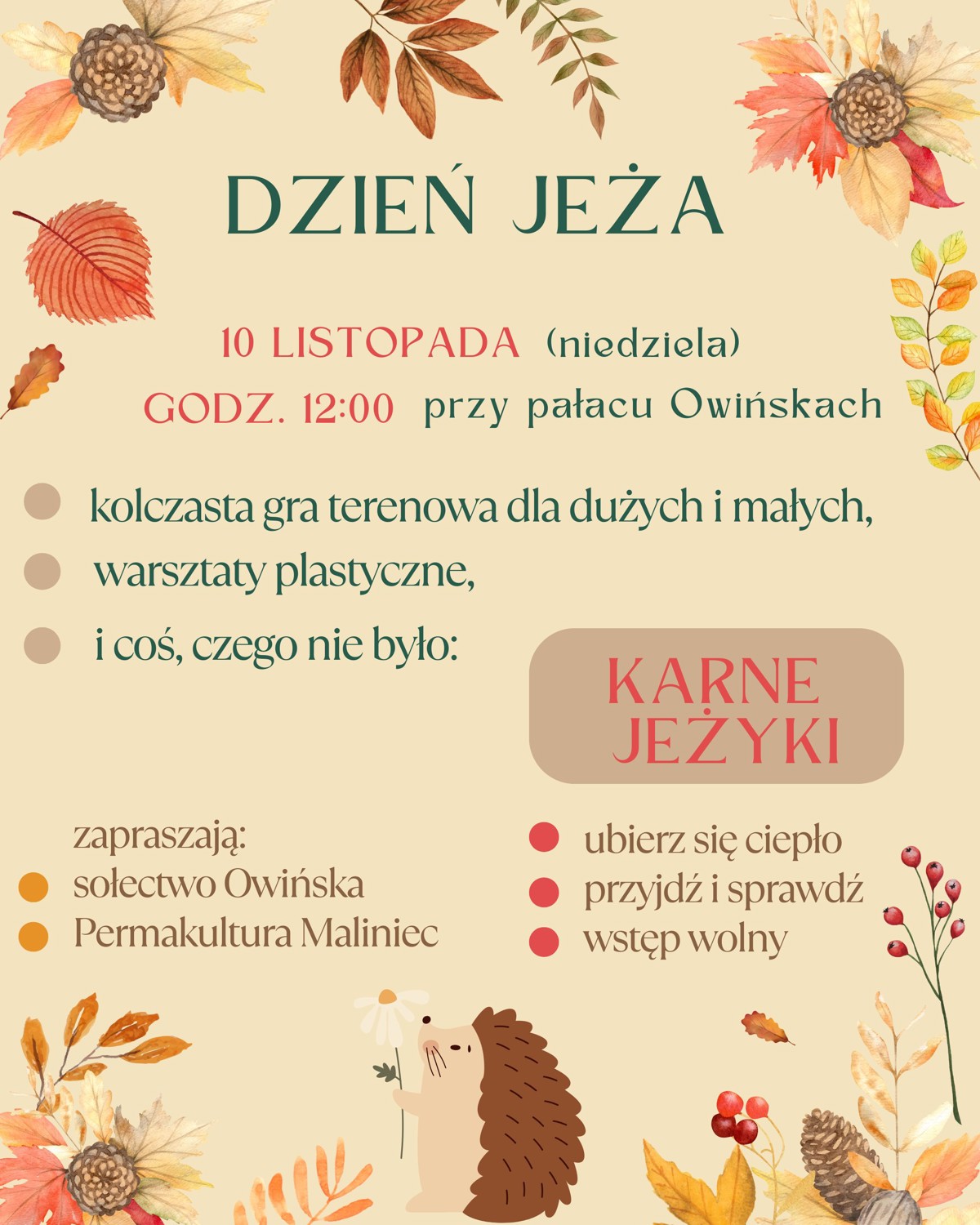 dzień jeża.jpg