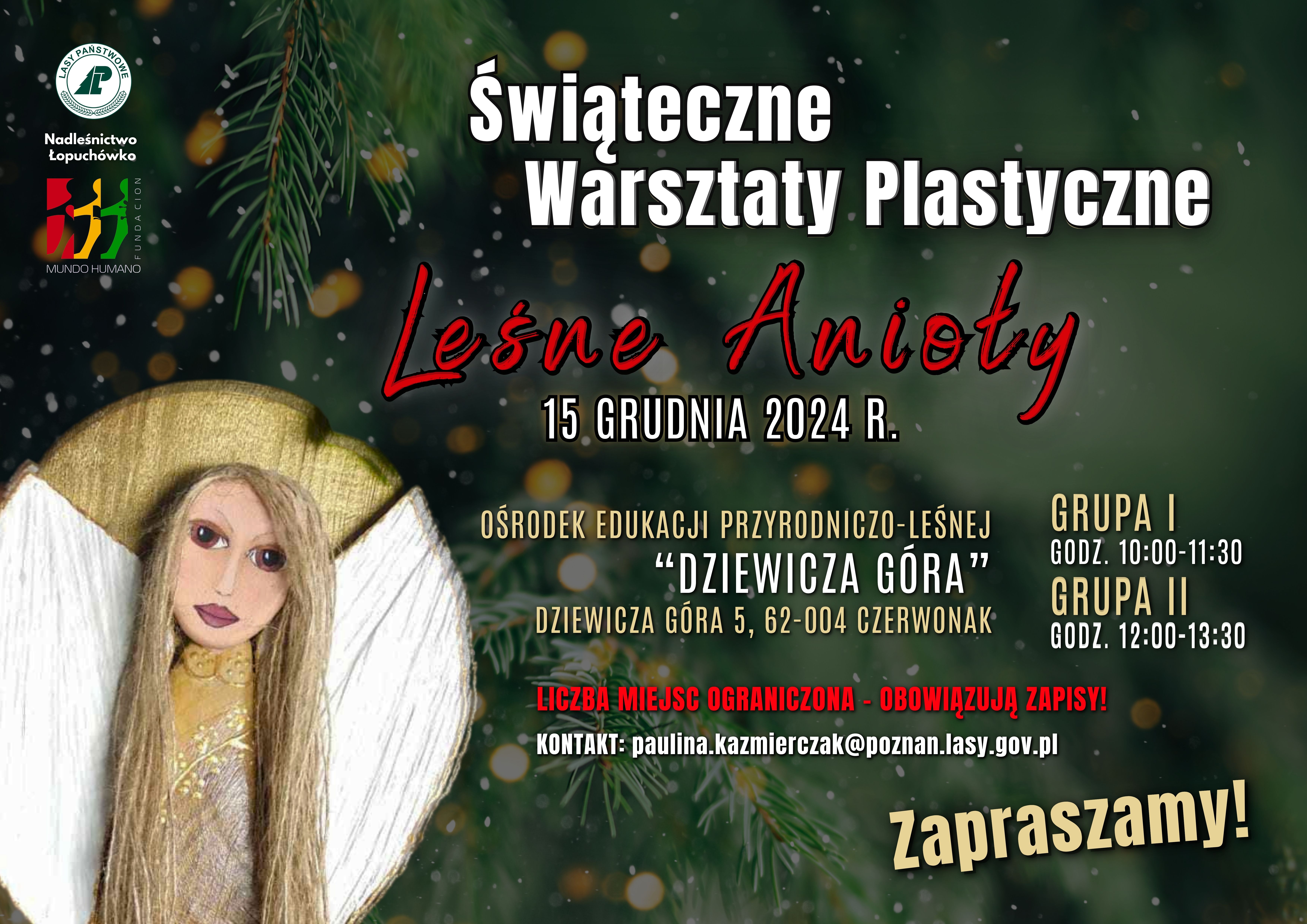 PLAKAT - LEŚNE ANIOŁY.jpg