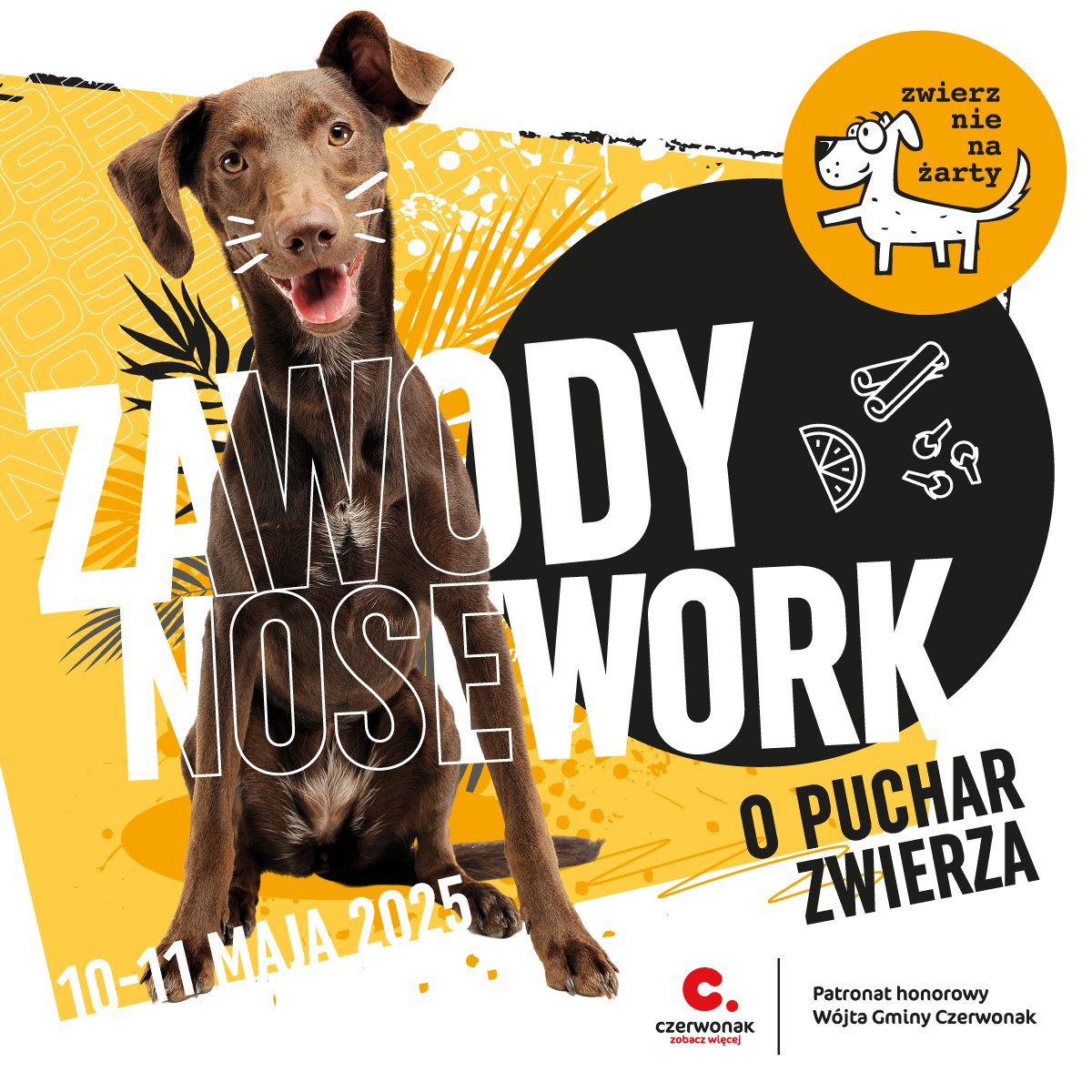 Zwierz-zawody-2025-post-FB.jpg