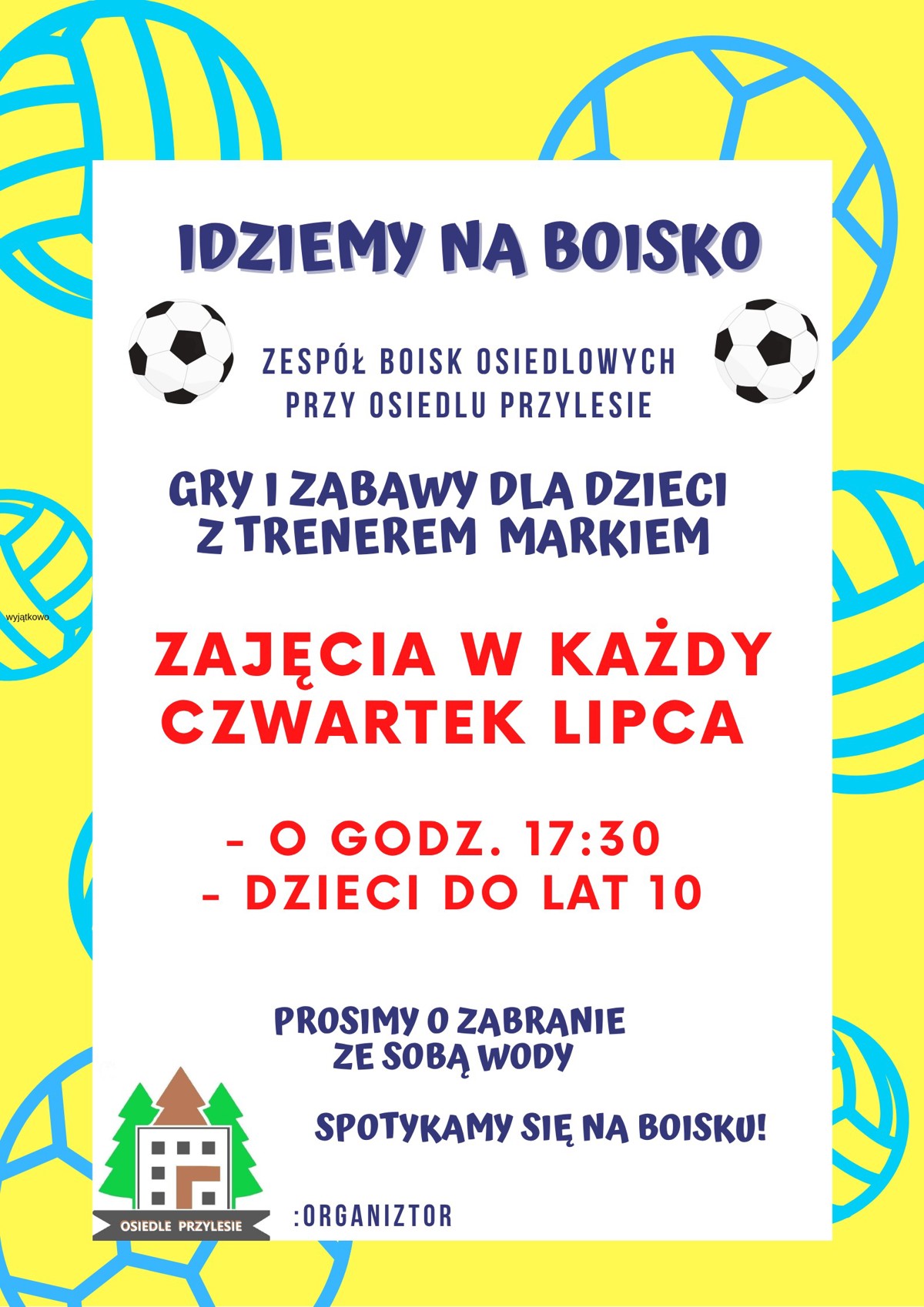 Piłka nożna.jpg