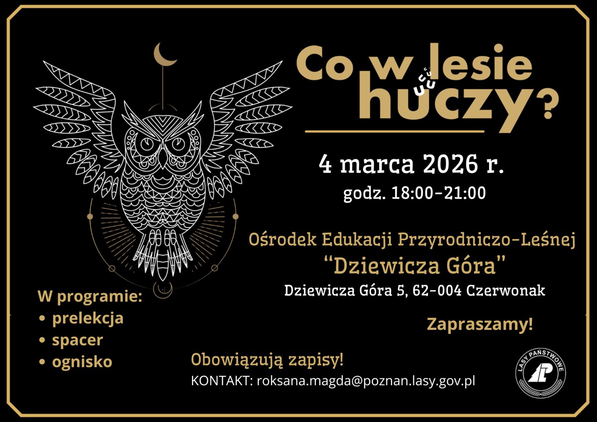 plakat co w lesie huczy.jpg