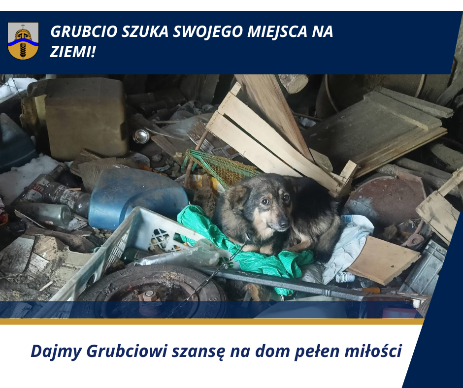Despite concerns about inflation and consumer sentiment, March retail sales in the US rose by 1.4%, exceeding expectations. (27).png