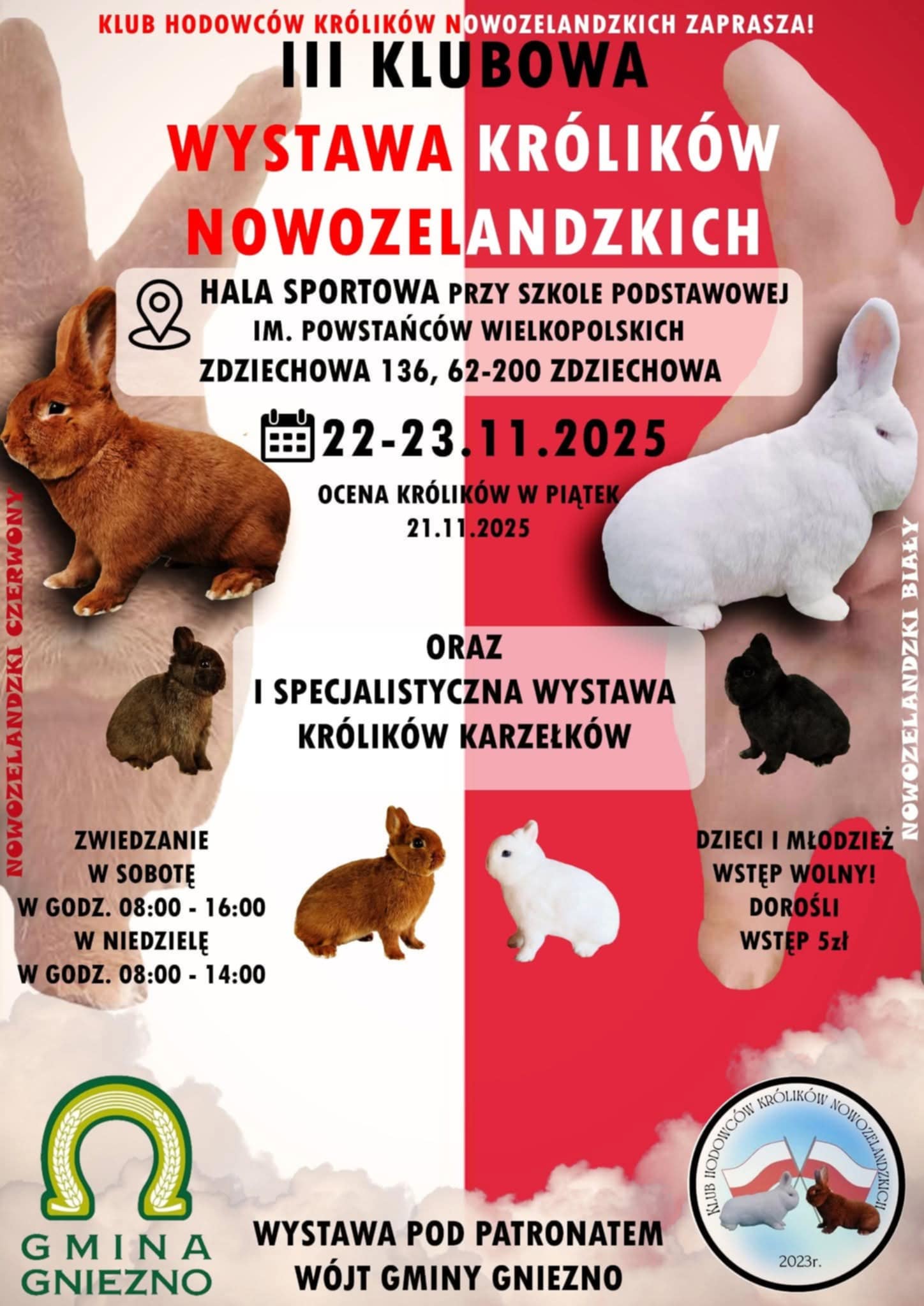 wystawa królików.jpg