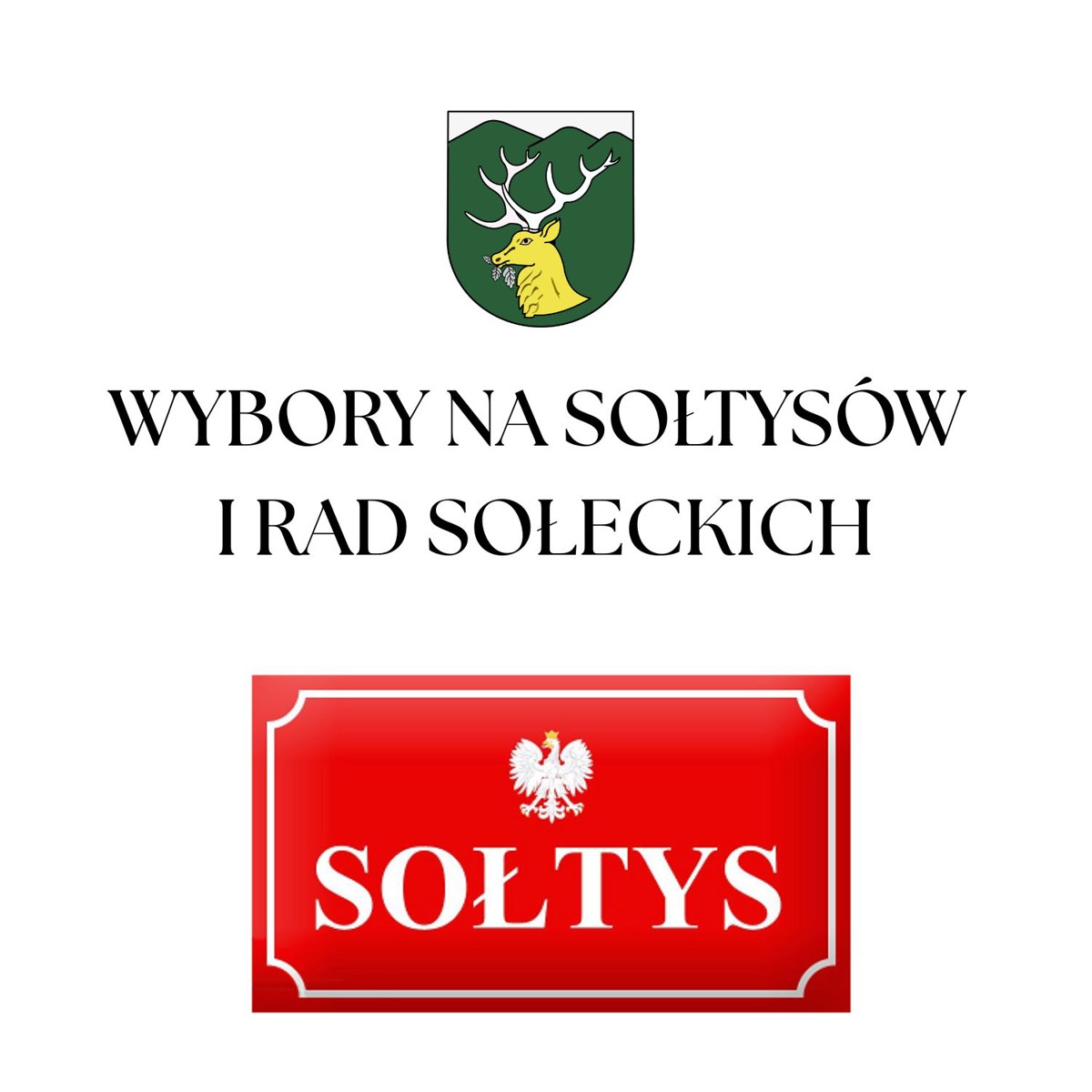 WYBORY NA SOŁTYSÓW I DO RAD SOŁECKICH.jpg