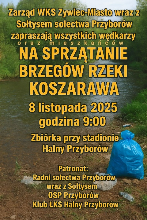 Sprzątanie Przyborów - W. Pindel.jpeg