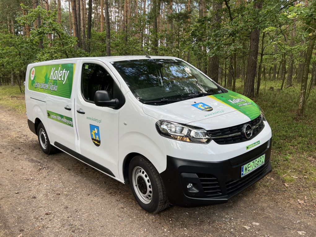 samochod_elektryczny2025 (1).jpg