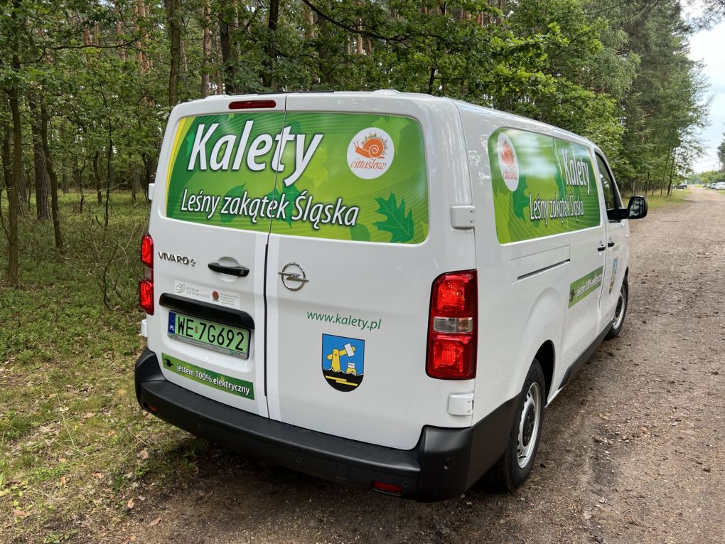 samochod_elektryczny2025 (4).jpg