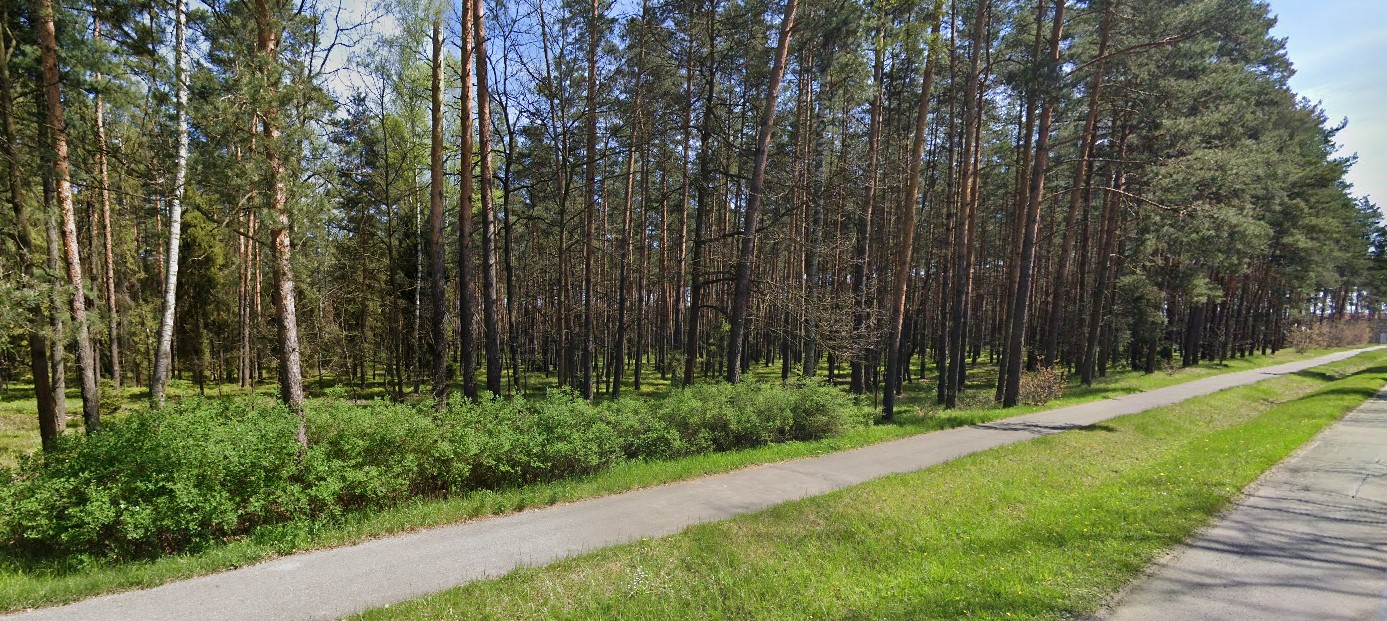 sciezka_kuczow_oswietlenie_2025.jpg