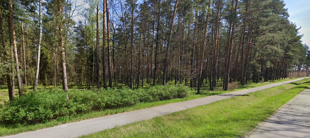 sciezka_kuczow_oswietlenie_2025.jpg