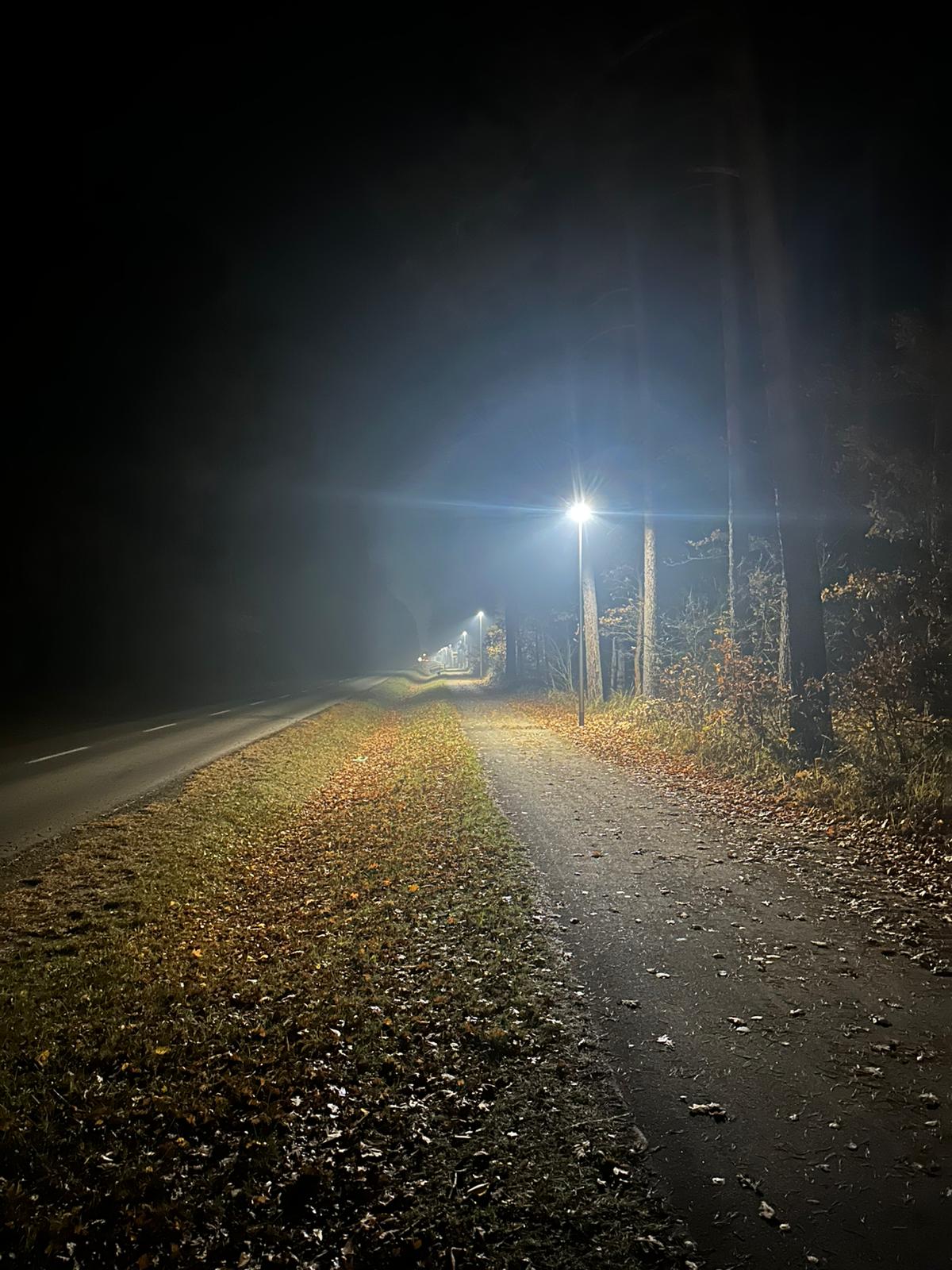 oswietlona_sciezka_kalety_kuczow (4).jpg