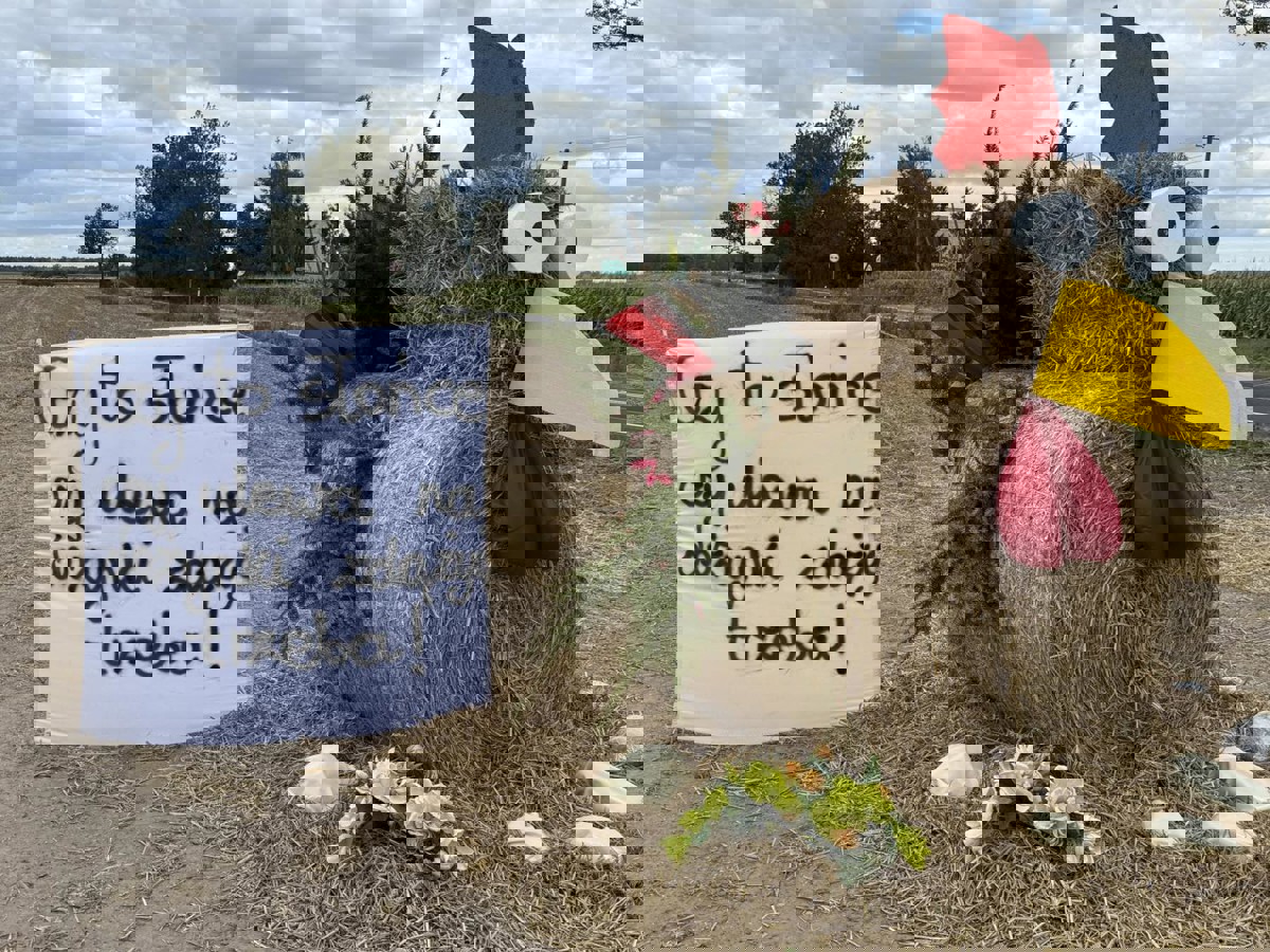 540972603_1213117910853613_60984047433689107_n.jpg