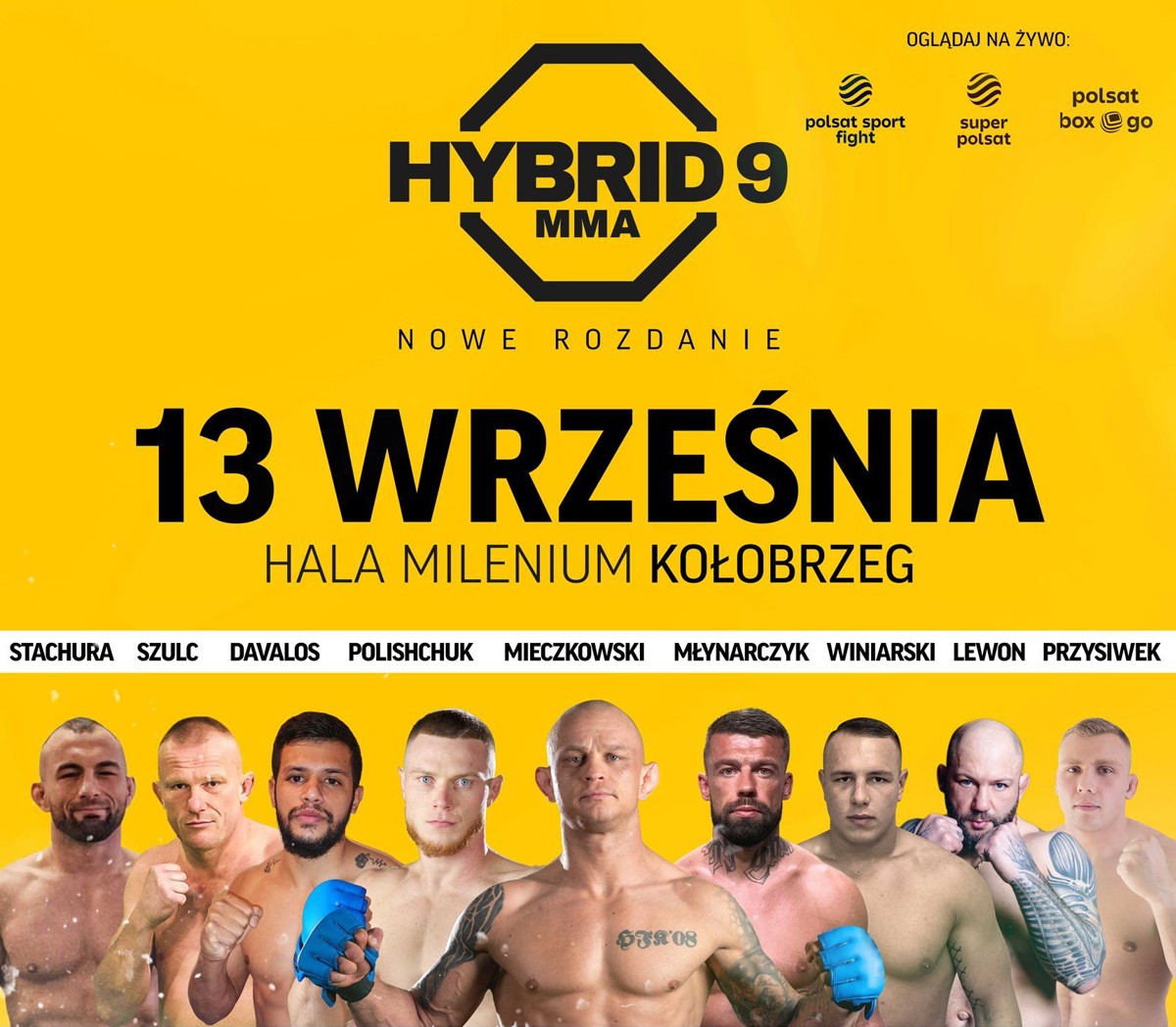 hybridmmaplakat.jpg