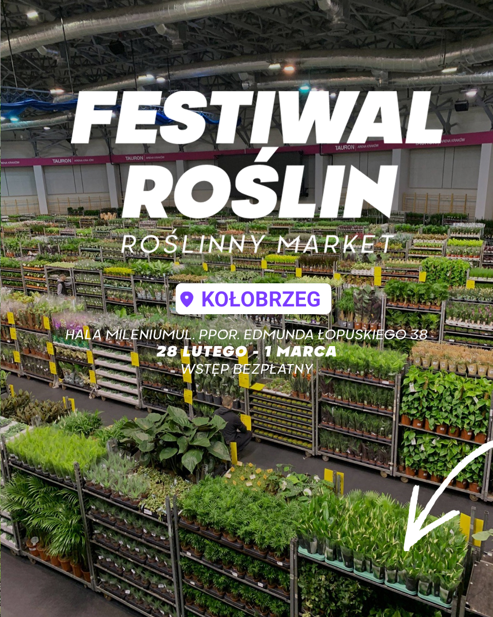 kollobrzeg 4na5 2.jpg