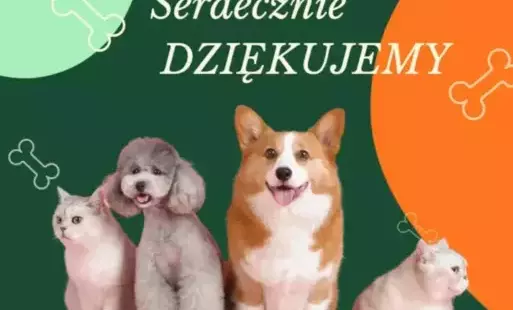 rss.png