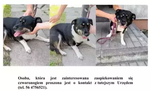 rss.png