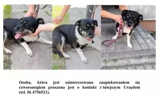 rss.png