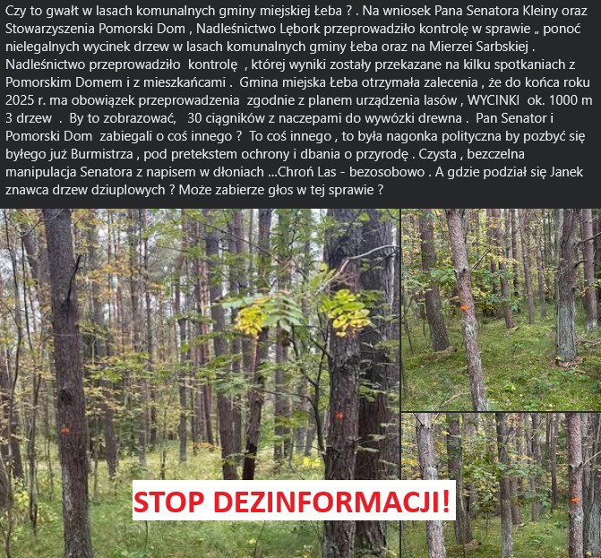 stop dezinformacji.jpg