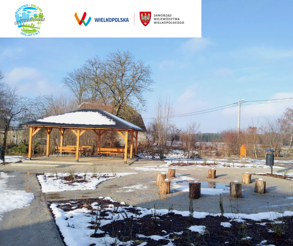 Projekt bez nazwy (79).png