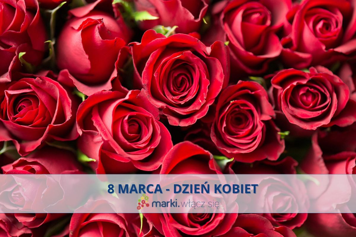 STRONA INTERNETOWA SZABLON  (12).jpg