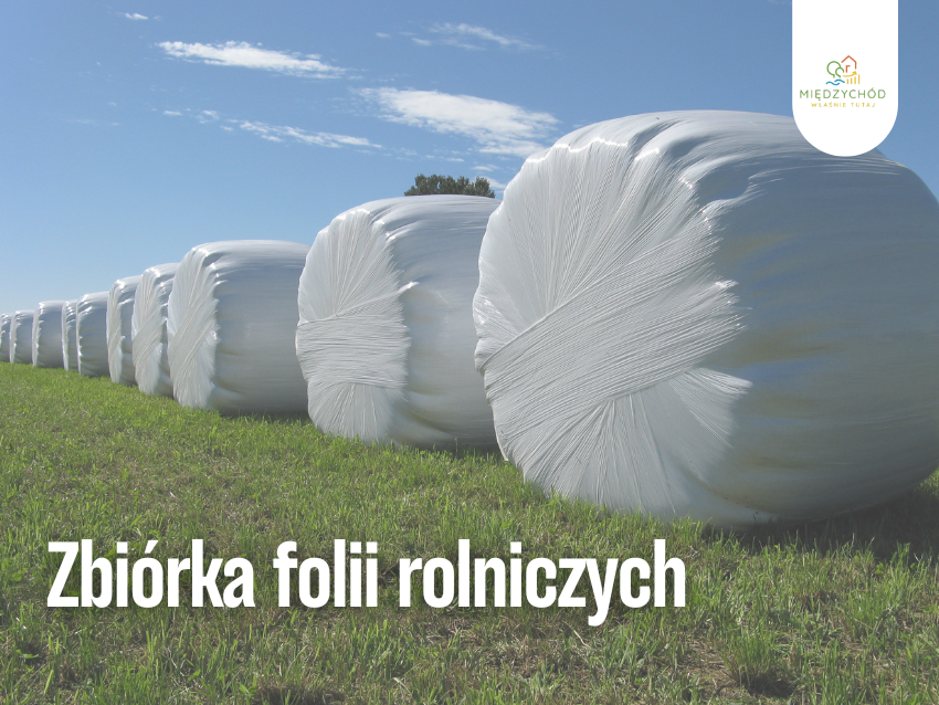 międzychód cover – kopia.png