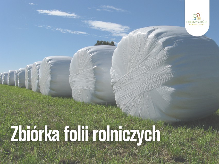 międzychód cover – kopia.png