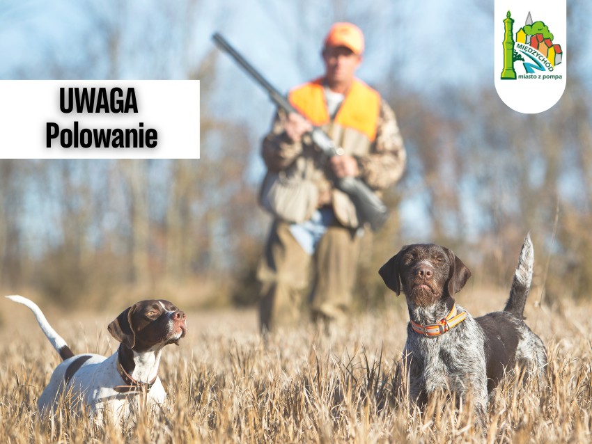 międzychód cover – kopia(16).png