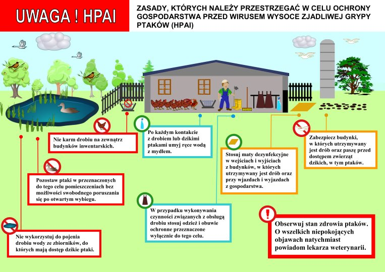 hpai-infografika2020.png