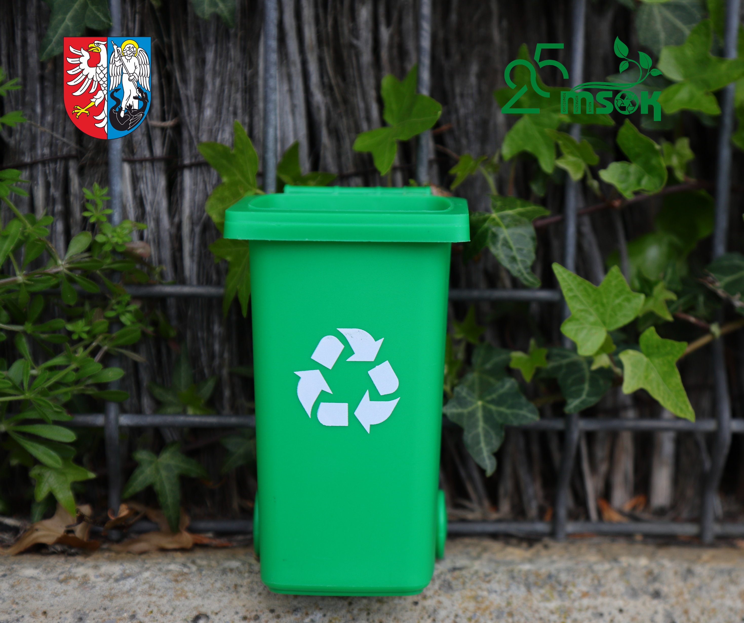 Projekt bez nazwy (3).png