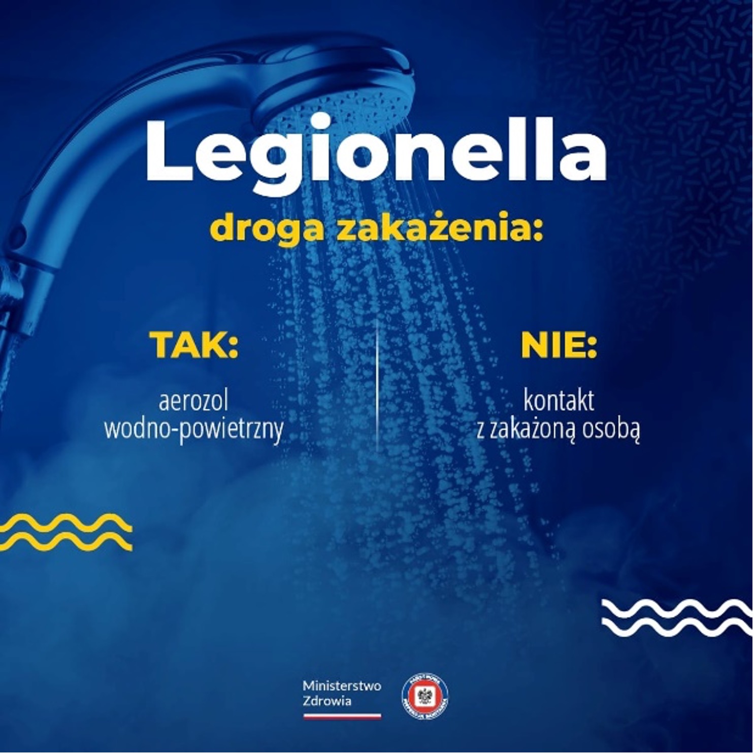 Legionella_3.jpg