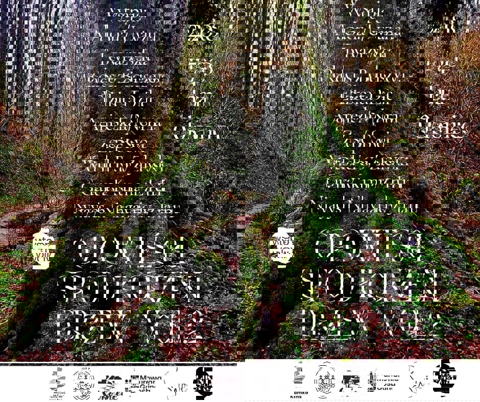 plakat - opowieści spod korzeni.jpg