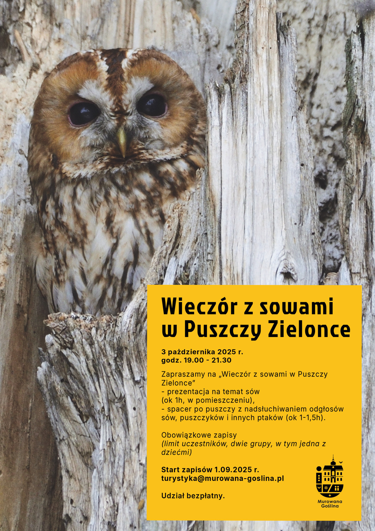 wieczór z sowami powtórka.jpg