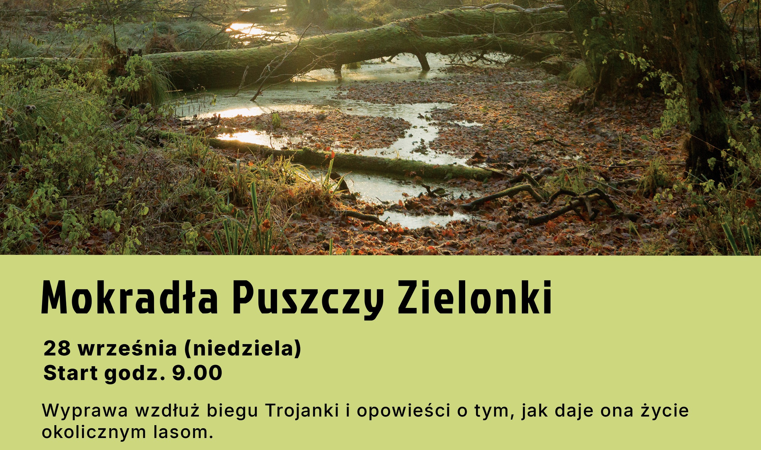 mokradła slider.jpg