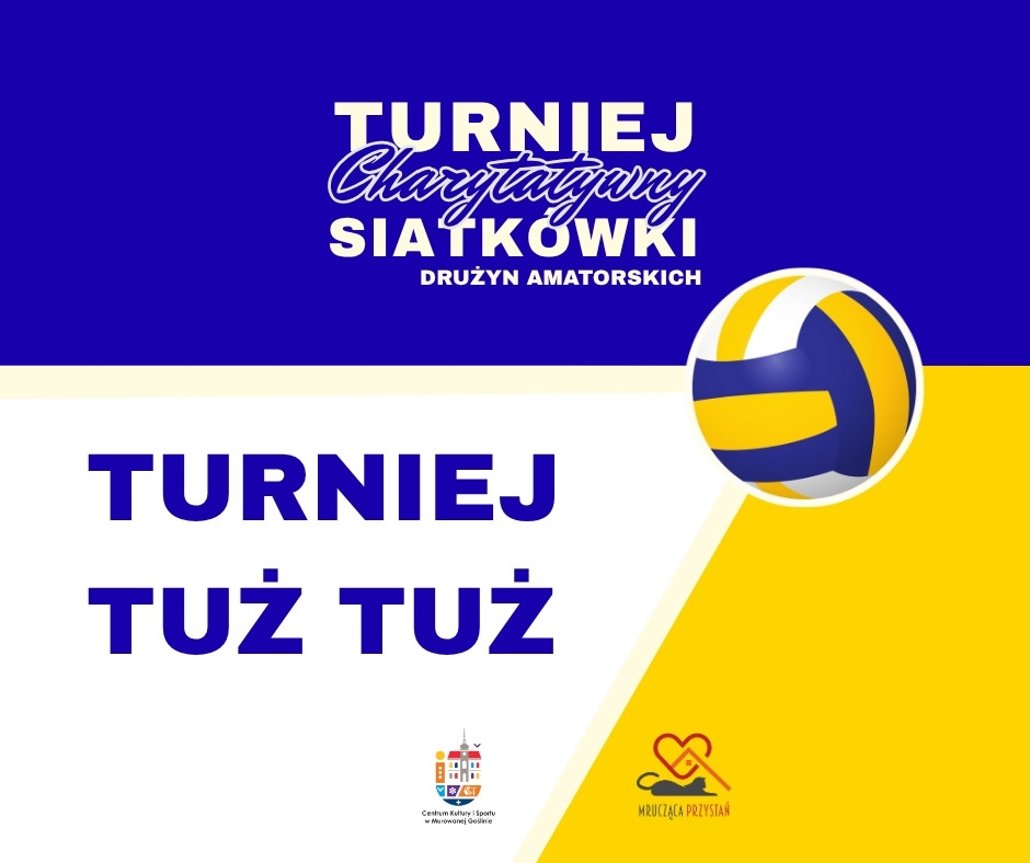 turniej siatkarski.jpg