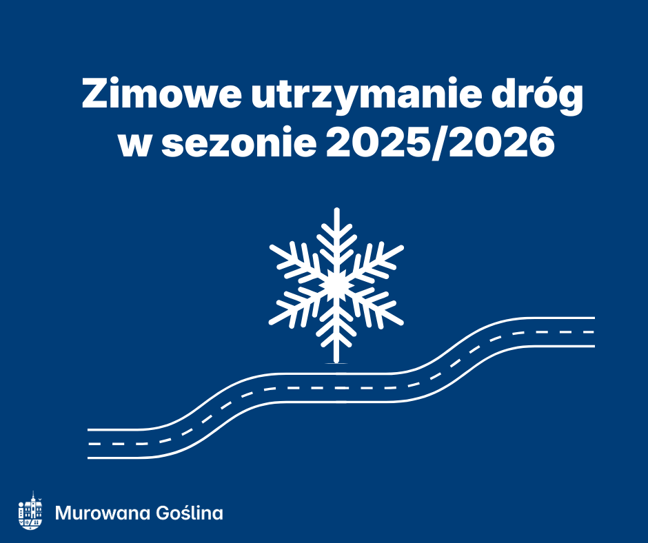 Zimowe utrzymanie dróg w sezonie 20252026.png