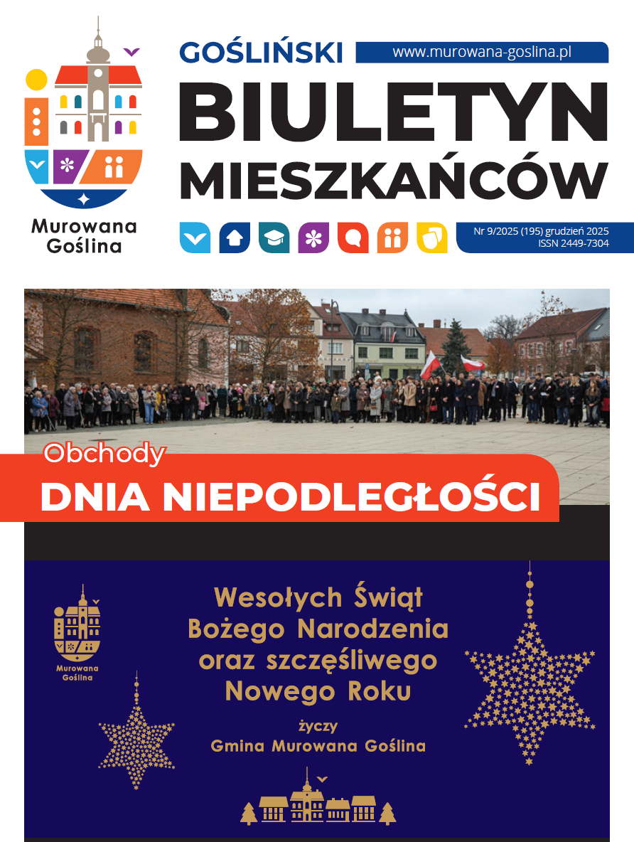 Zrzut ekranu 2025-12-12 154432.png