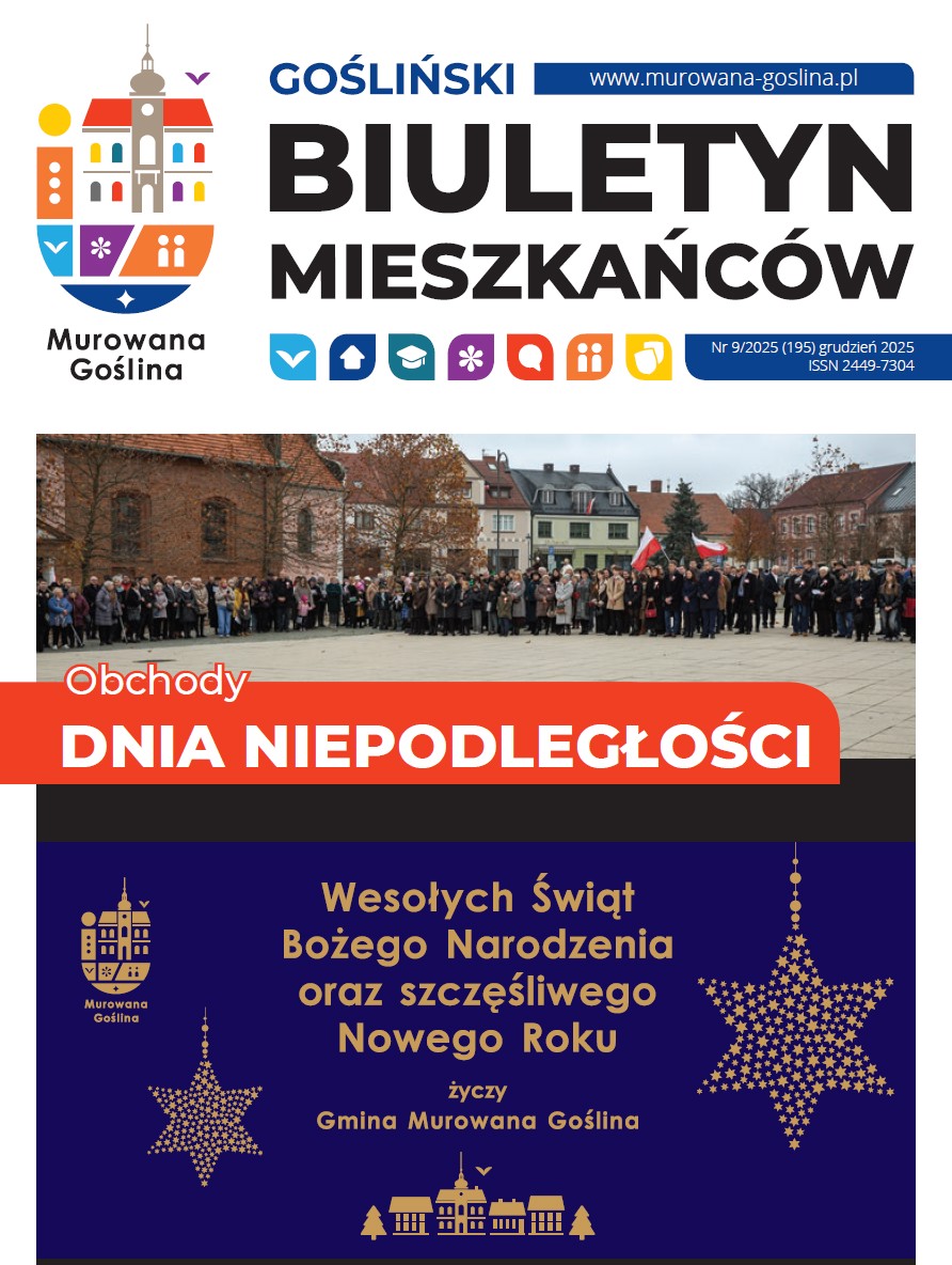 Zrzut ekranu 2025-12-12 154432.png