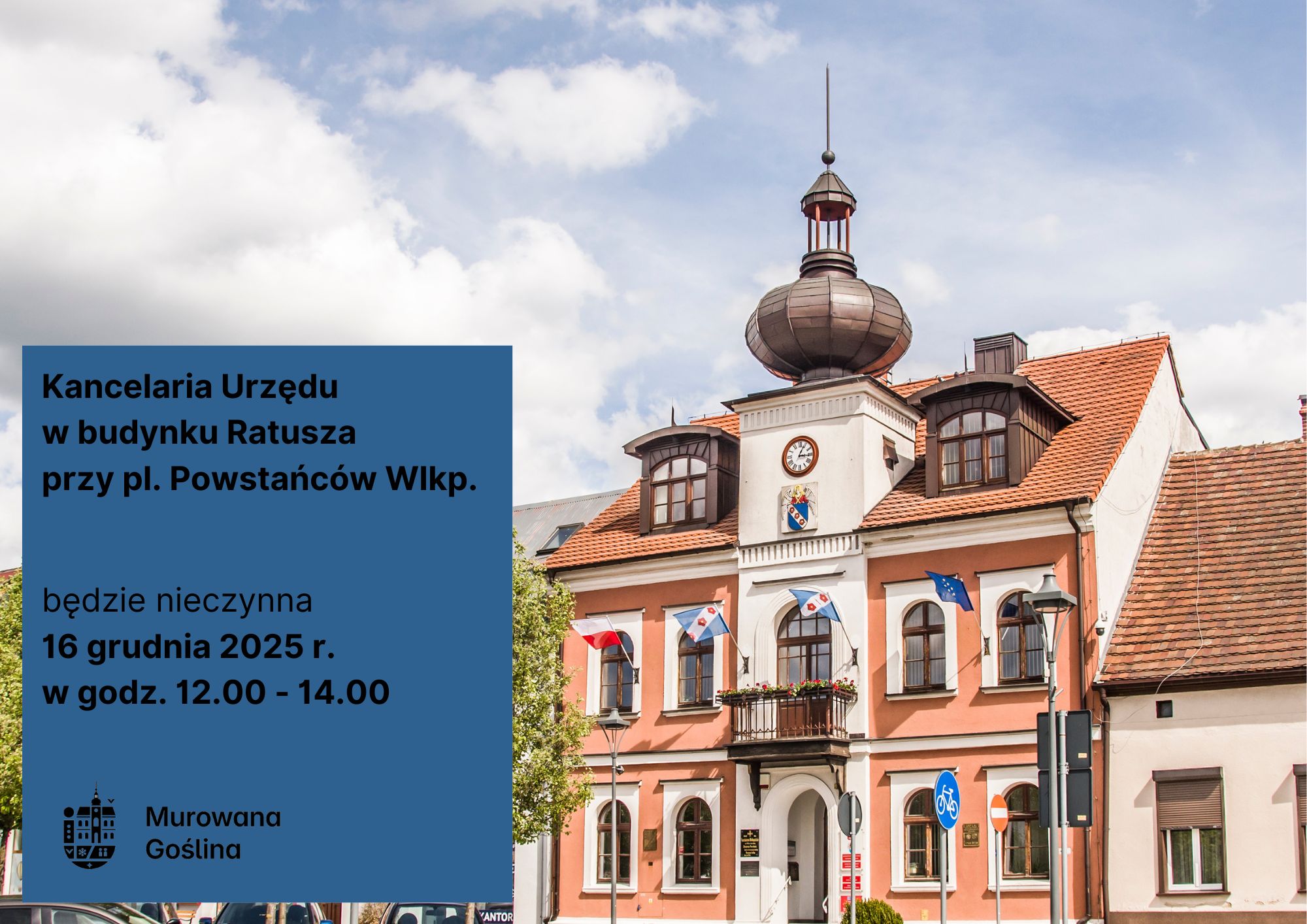 Ratusz, GO, Biblioteka (1).jpg