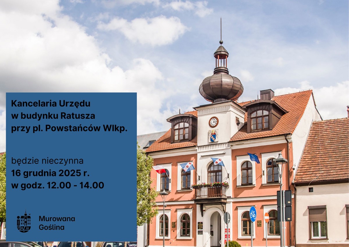 Ratusz, GO, Biblioteka (1).jpg