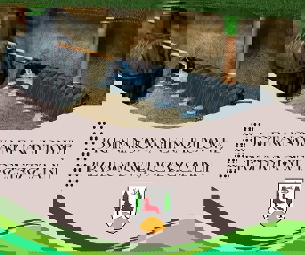 516602900_767835242567787_5853335462441773488_n.jpg