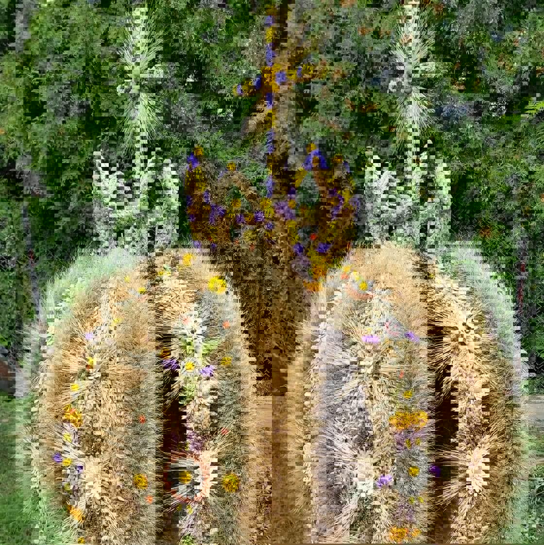 41514480_2286335511588597_3939217267996229632_n.jpg