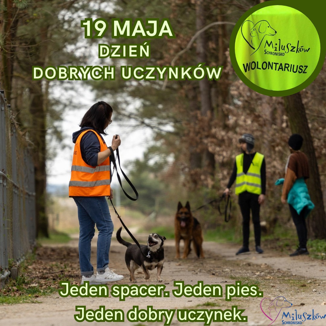 19 maja.jpg