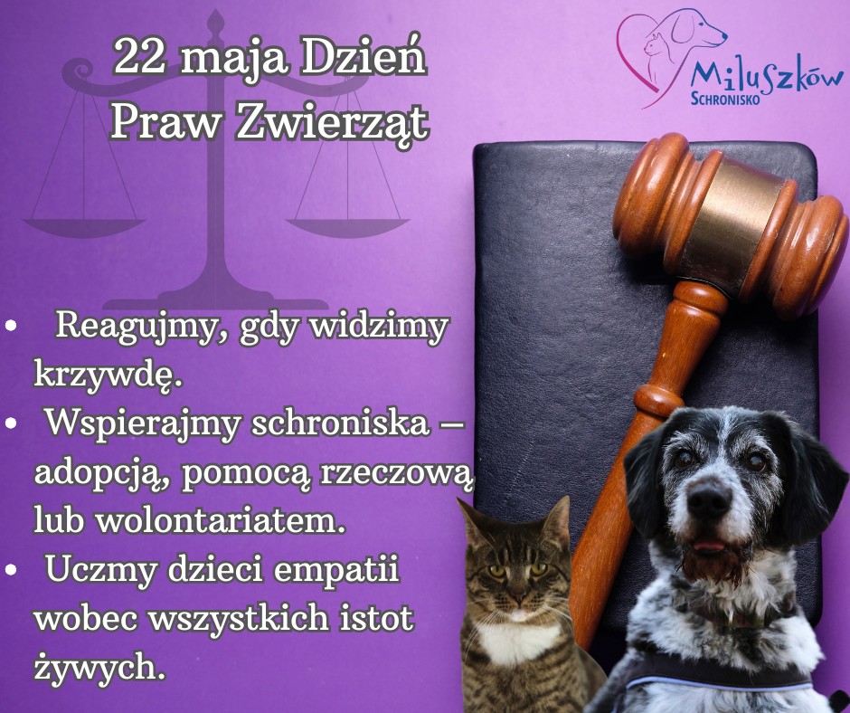 22 maja Dzień Praw Zwierząt.jpg