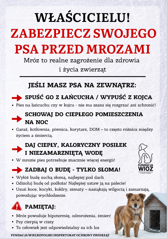 Zrzut ekranu 2026-01-07 112902.png