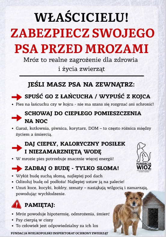 Zrzut ekranu 2026-01-07 112902.png