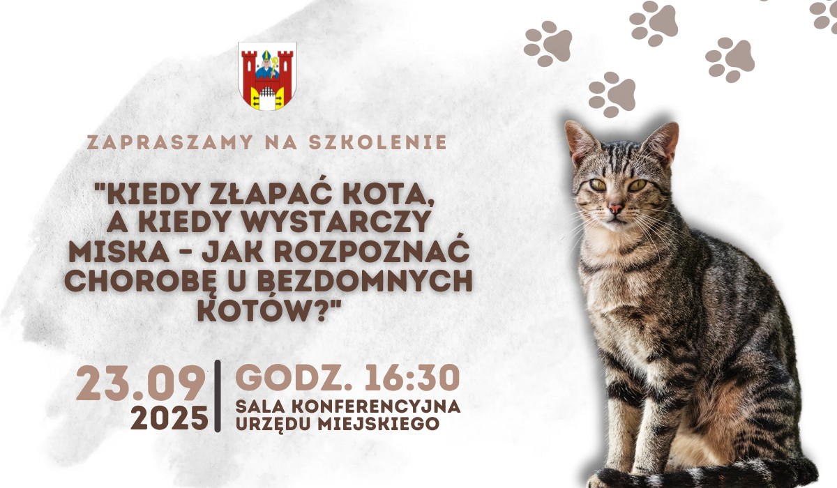 Budżet obywatelski(8).png